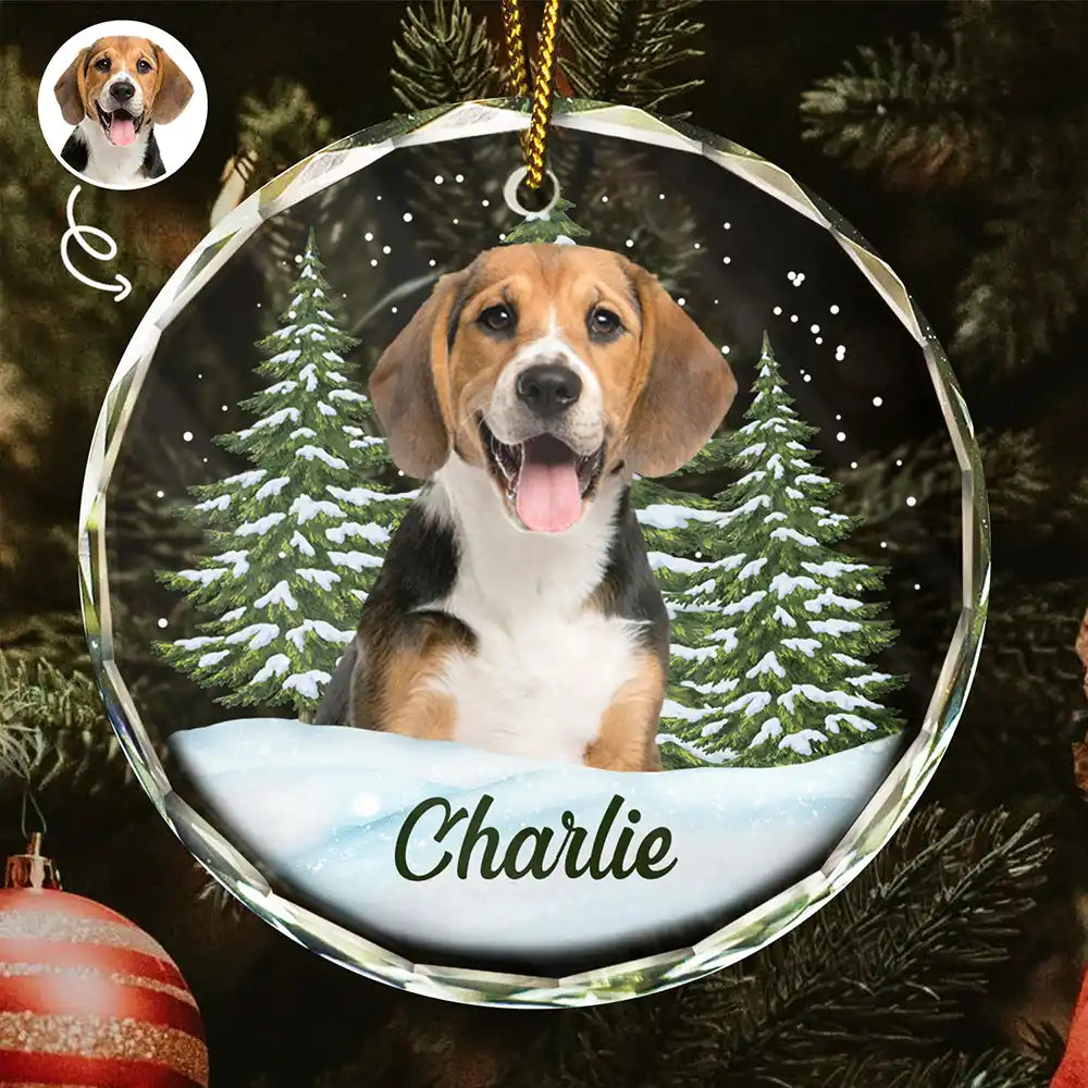 Custom Photo Pet Face - Christmas Gift For Dog Lovers, Cat Lovers, Pet Lovers, Pet Memorial