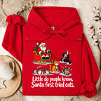 Little Do People Know Santa First Tried Cats Funny Christmas Shirt