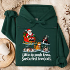 Little Do People Know Santa First Tried Cats Funny Christmas Shirt