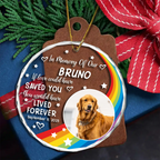 Ornement circulaire personnalisé en acrylique - Photo commémorative pour amoureux des animaux
