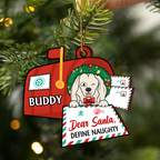 Dear Santa Define Naughty - Personalized Custom Shaped Wooden Ornament