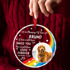 Ornement circulaire personnalisé en acrylique - Photo commémorative pour amoureux des animaux
