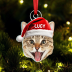 Ornement de Noël personnalisé avec photo d'animal de compagnie - Visage amusant