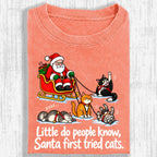 Little Do People Know Santa First Tried Cats Funny Christmas Shirt