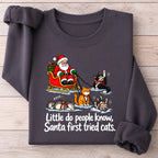 Little Do People Know Santa First Tried Cats Funny Christmas Shirt