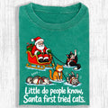 Little Do People Know Santa First Tried Cats Funny Christmas Shirt