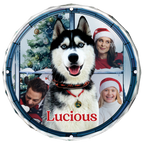 Personalisiertes rundes Acryl-Ornament mit Foto Ihres Haustiers – „Purry And Bright“