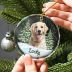 Visage d'animal personnalisé à partir d'une photo - Cadeau de Noël pour les amoureux des chiens, des chats et des animaux, mémorial pour animaux