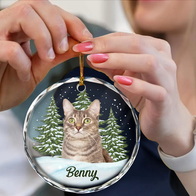 Visage d'animal personnalisé à partir d'une photo - Cadeau de Noël pour les amoureux des chiens, des chats et des animaux, mémorial pour animaux
