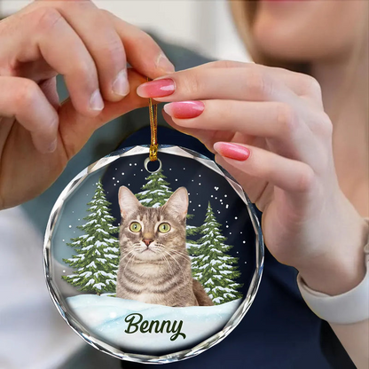 Custom Photo Pet Face - Christmas Gift For Dog Lovers, Cat Lovers, Pet Lovers, Pet Memorial