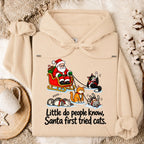 Little Do People Know Santa First Tried Cats Funny Christmas Shirt