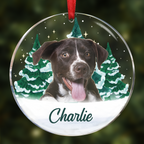 Décorations de Noël personnalisées avec photo du visage de votre animal - Ornement circulaire en acrylique
