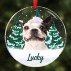 Décorations de Noël personnalisées avec photo du visage de votre animal - Ornement circulaire en acrylique