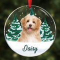 Décorations de Noël personnalisées avec photo du visage de votre animal - Ornement circulaire en acrylique