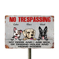 Propriété privée : mes chiens et moi en avons assez de creuser des trous et de cacher des corps - Plaque en métal personnalisée
