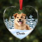 Ornement commémoratif personnalisé en forme de cœur en acrylique avec photo de votre animal (chien ou chat)