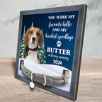 Panneau commémoratif personnalisé pour animal de compagnie avec photo : « You Are My Favorite Hello And Hardest Goodbye » – Cadre pour collier